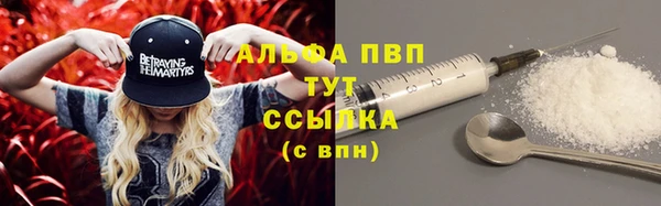 ГАЛЛЮЦИНОГЕННЫЕ ГРИБЫ Инсар