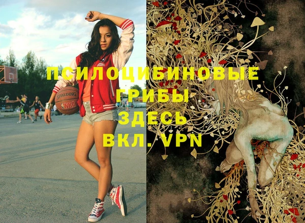 ГАЛЛЮЦИНОГЕННЫЕ ГРИБЫ Инсар