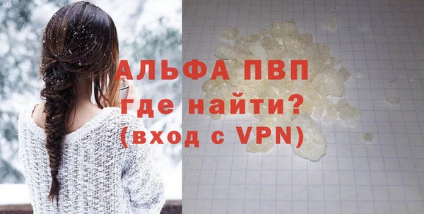 ГАЛЛЮЦИНОГЕННЫЕ ГРИБЫ Инсар