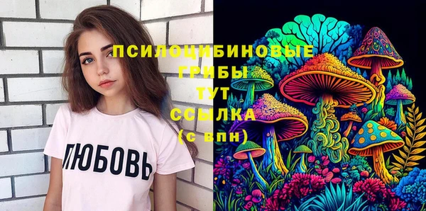 ГАЛЛЮЦИНОГЕННЫЕ ГРИБЫ Инсар