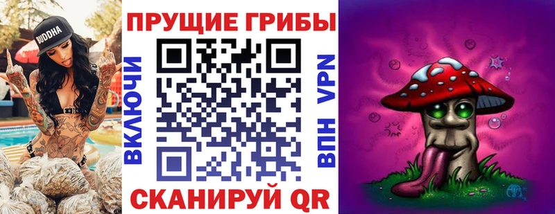 Псилоцибиновые грибы прущие грибы  Черкесск 